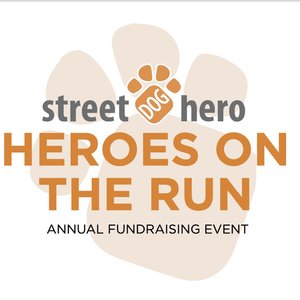 Race Logo