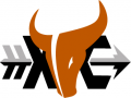 Race Logo